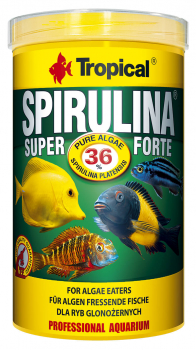 Tropical Super Spirulina Forte (36%) Flocken